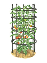 Titan Tomato Cages, Set of 3